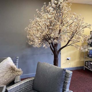 Palmers_Garden_Centre_02