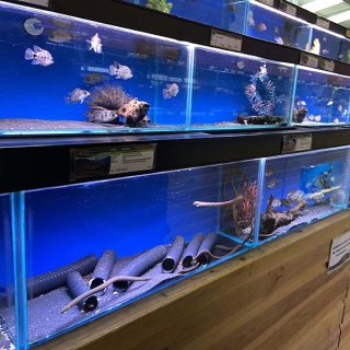 Palmers_Garden_Centre_03