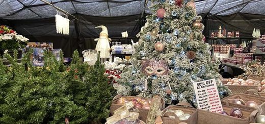 Sapcote Garden Centre 5