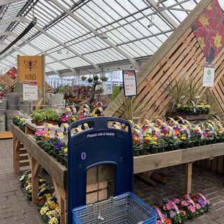 Webbs_Garden_Centre_12
