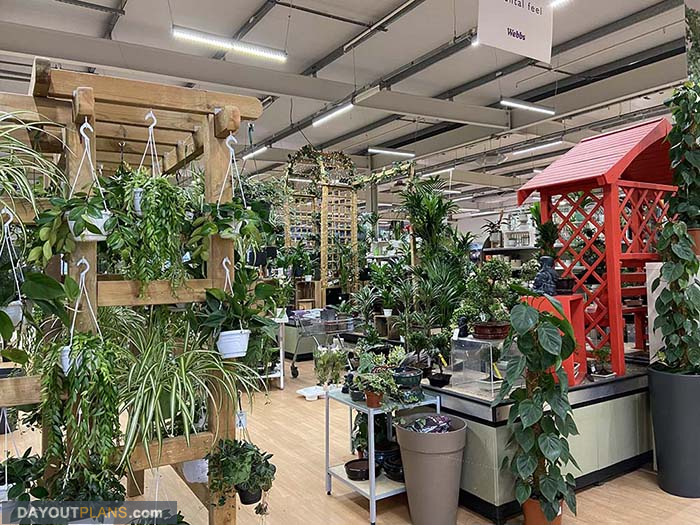 Webbs Garden Centre 23