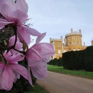 Belvoir Castle 01