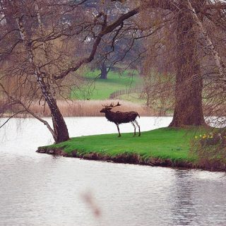 Burghley_House_8