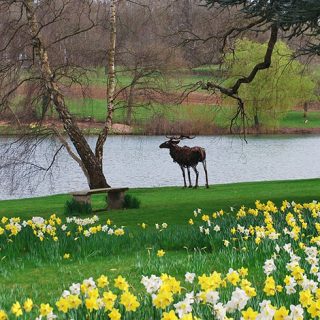 Burghley_House_9