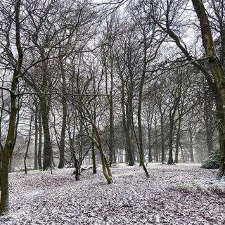 Longshaw_Country_Park_01