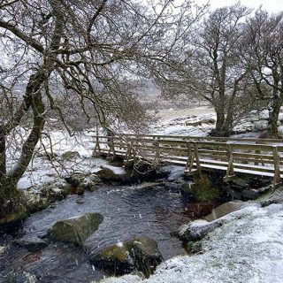 Longshaw_Country_Park_02