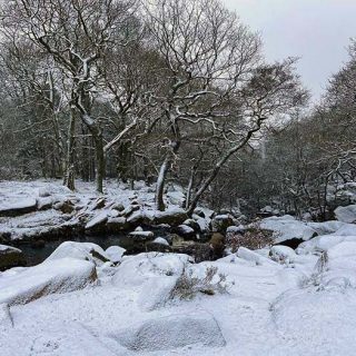 Longshaw_Country_Park_03