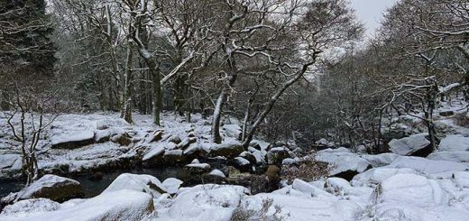 Longshaw Country Park 03