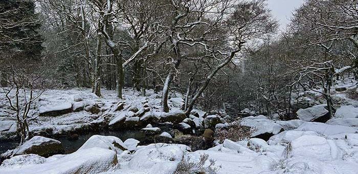 Longshaw Country Park 03