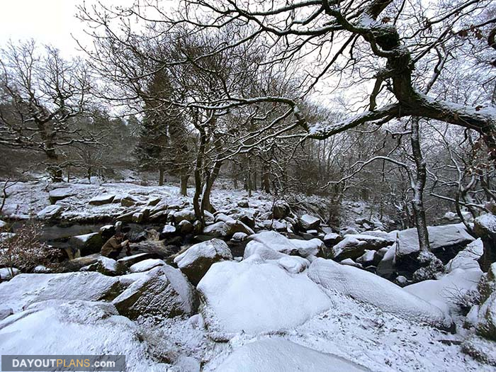 Longshaw Country Park 04