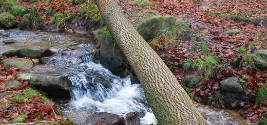 Padley Gorge 1