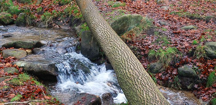 Padley Gorge 1