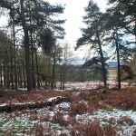 Padley Gorge 2