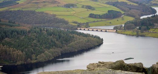 Bamford Edge 1