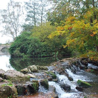 Clumber Park 3