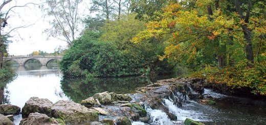 Clumber Park 3