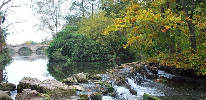 Clumber Park 3
