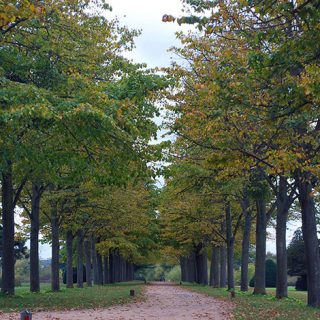 Hampton_Court_2