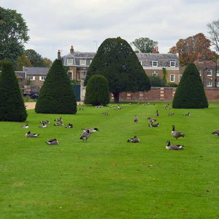Hampton_Court_4