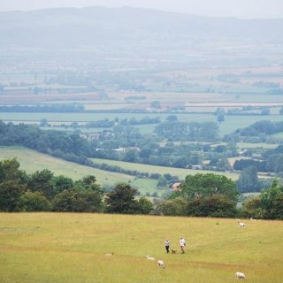 IMG_2321