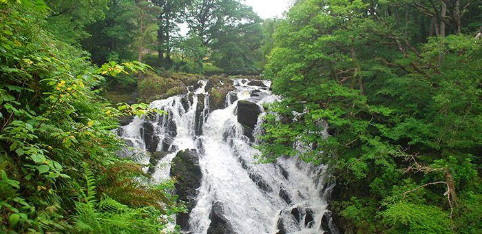 Swallow Falls Waterfall 2