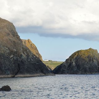 DSC_0881