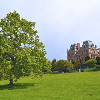 East Carlton Country Park