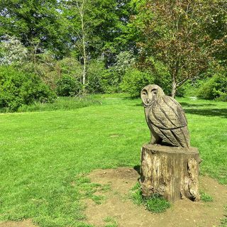 East Carlton Country Park