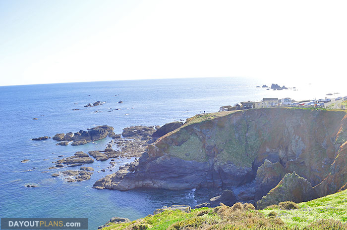 Lizard Point 1 1