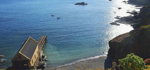 Lizard Point 2
