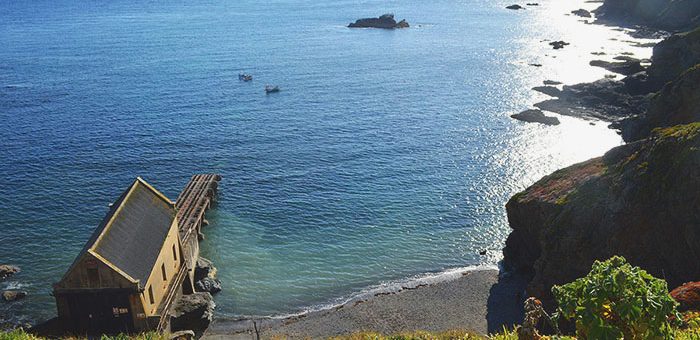 Lizard Point 2