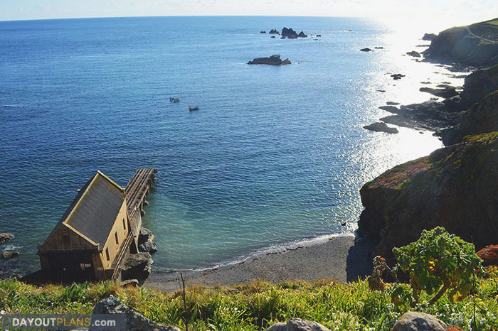 Lizard Point 2
