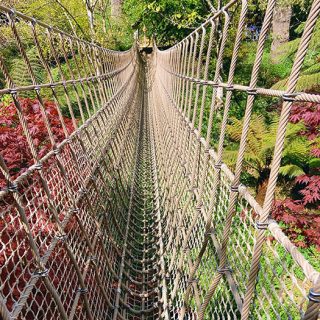 Lost_Garden_2