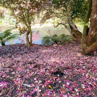 Lost_Garden_3