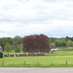 Wicksteed Park Railway