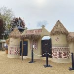 Meerkat Manor - Wicksteed Park