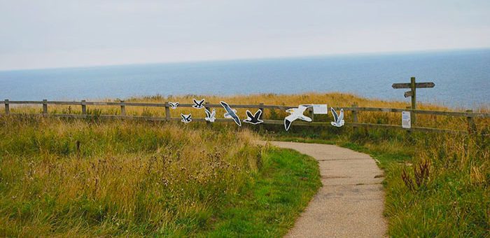 Bempton1