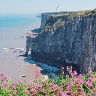Bempton4
