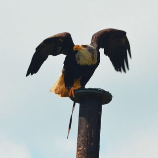 IMG_0315
