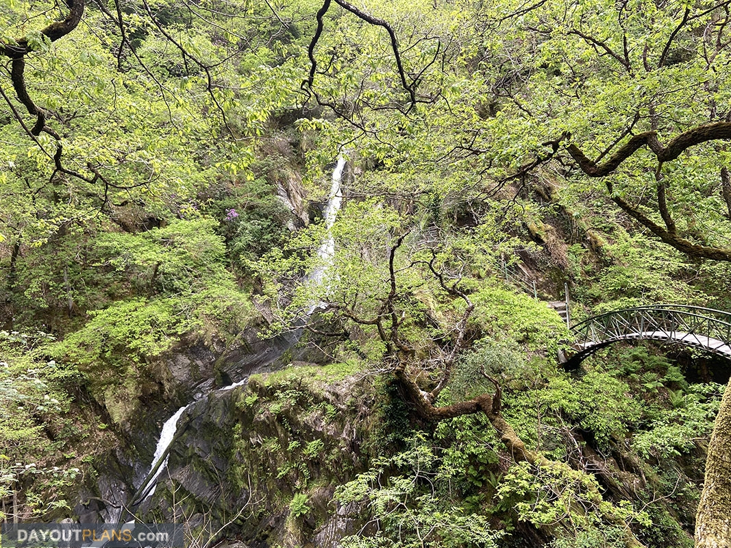 Devil's Bridge Falls and Woodlands - Dayoutplans