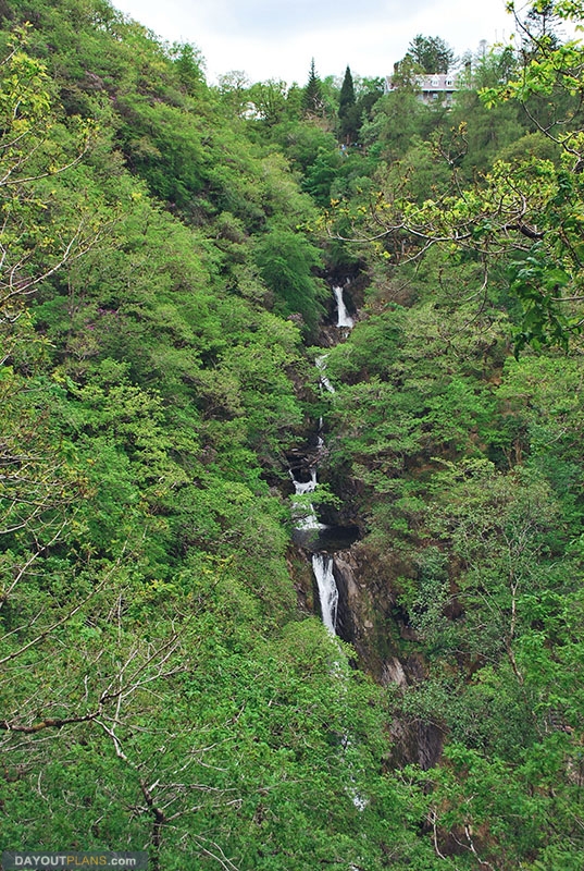 IMG 0752