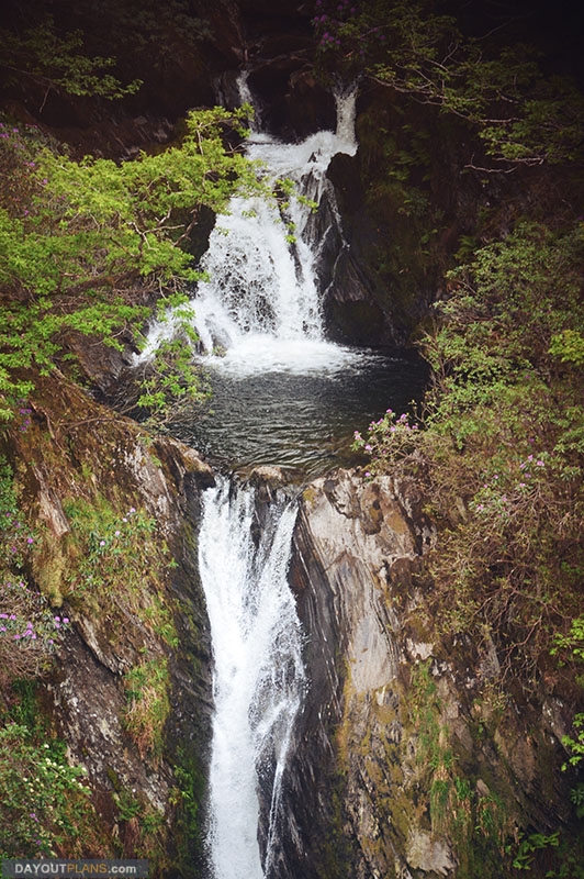 IMG 0753