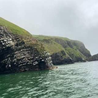 IMG_0770