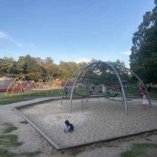 Bath Royal Victoria Park Viper Swing and Climbing Nets