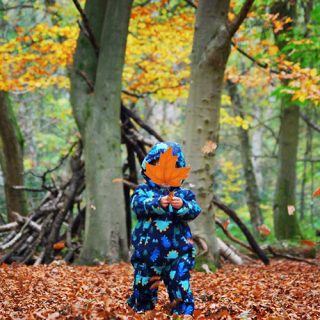 Beacon Hill Country Park