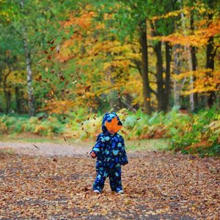 Beacon Hill Country Park
