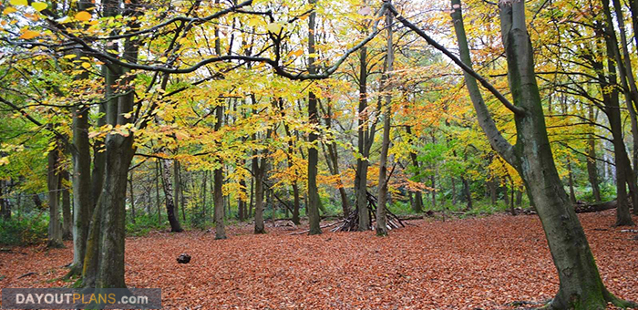 Beacon Hill Country Park featured
