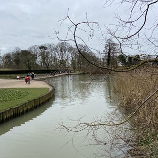 Coombe Abbey Country Park
