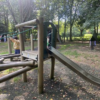 Log Climber with Slide