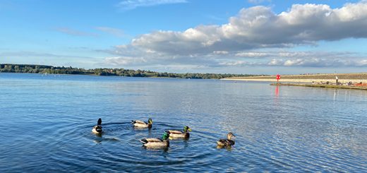 Draycote Water Playground